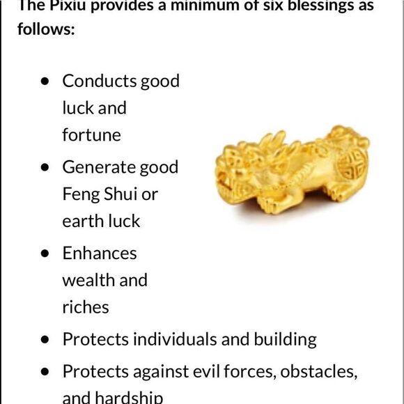 💜 Brown Obsidian Feng Shui Wealth Charm Bracelet - Picture 6 of 6